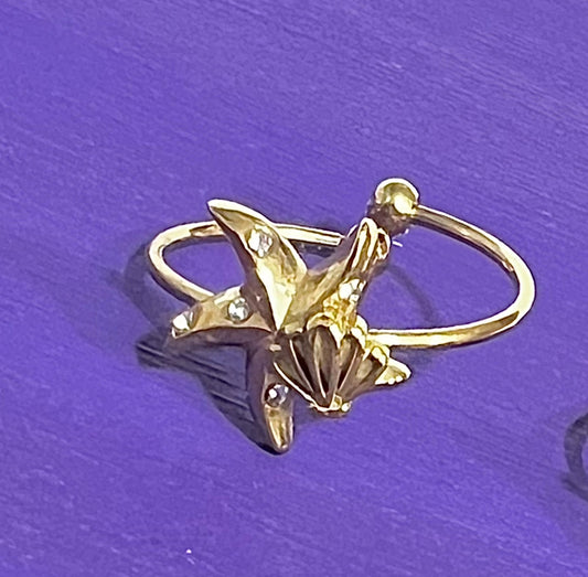 Anillo mar