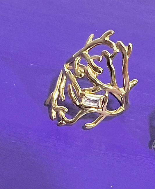 Anillo coral